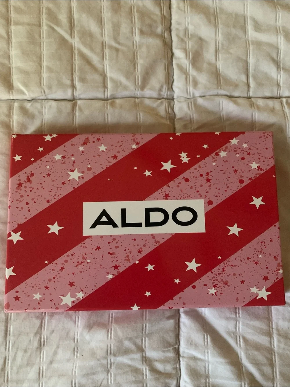 Aldo sleek clutch
